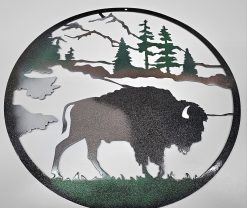 Bison (Buffalo)