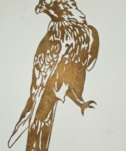 Rusty Hawk