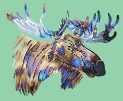 Bull Moose, Multiple Layers.